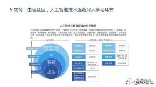 2019年人工智能发展白皮书 人工智能应用软件开发